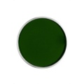 Líčidlo FX - tmavo zelené